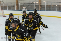 DSC_0191-Erica-Udén-Johansson-Fanny-Rask-Gabriella-Johansson-2019oktober26_