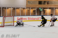 200815 AIKj18 - Vita hästen j18