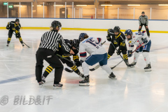 201017 AIK - Linköping SDHL