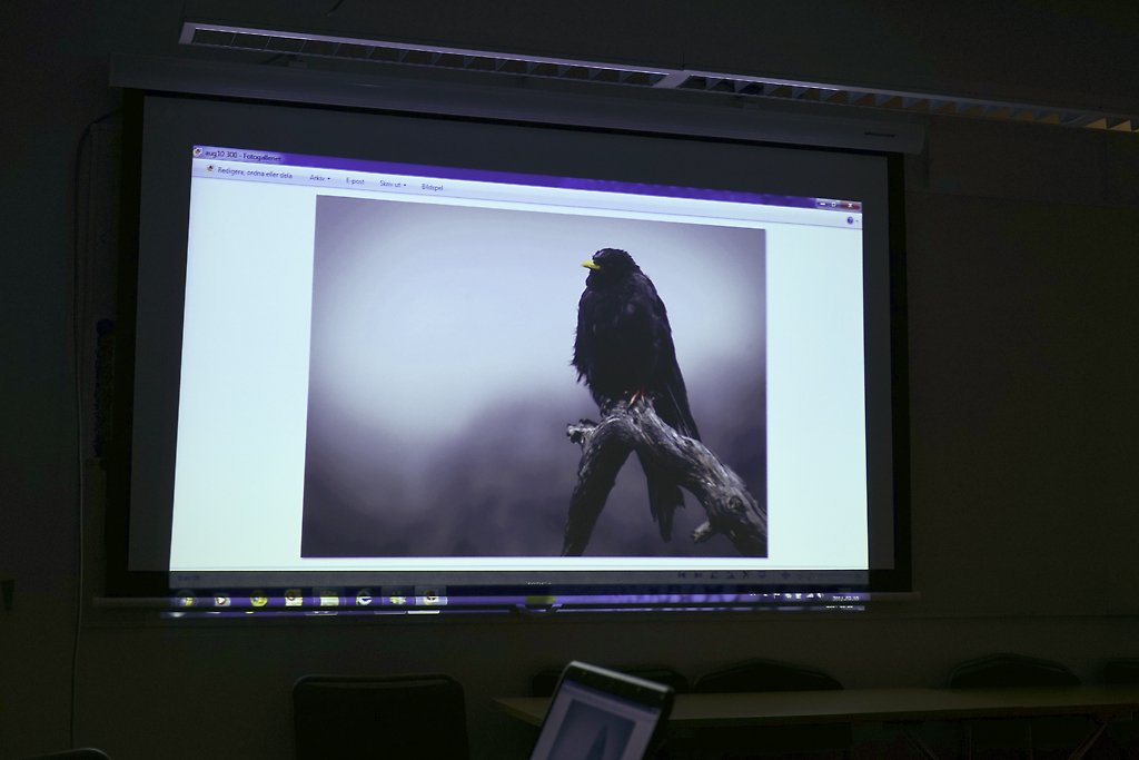 bild3