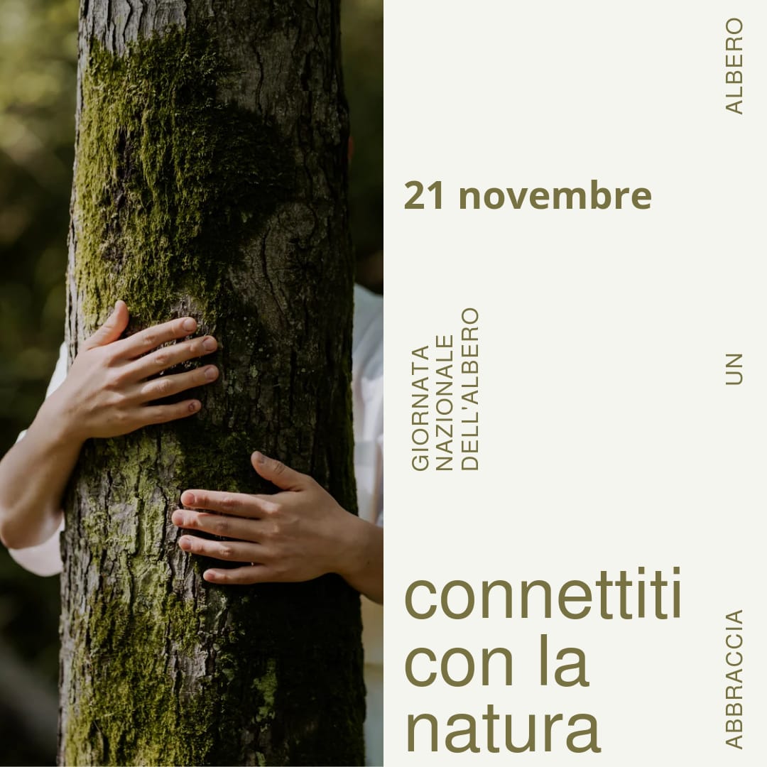 21 novembre: Gionata Nazionale dell’Albero