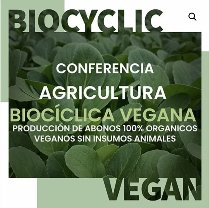 Colombia: The first lecture on Biocyclic Vegan Agriculture in South America ­− ­organised by our partner Finca Villa Paz ­− 16 November 2022