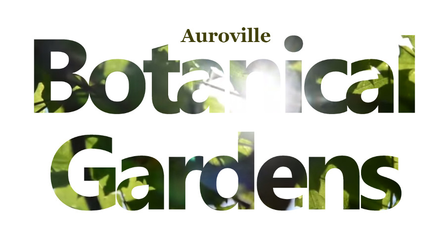 Auroville Botanical Gardens