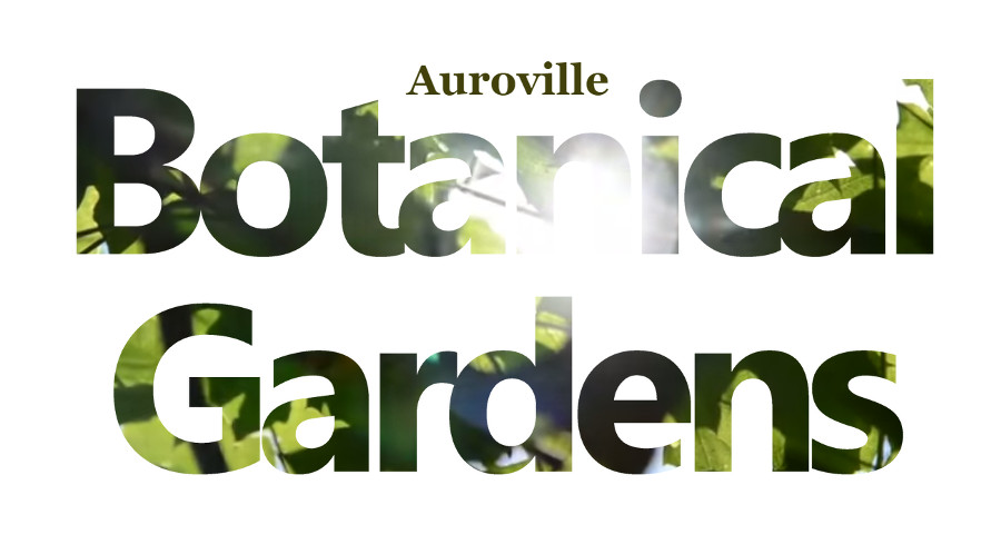 Auroville Botanical Gardens