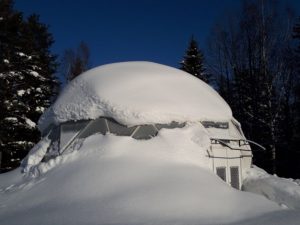 snöklädd Biodome