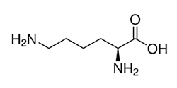 Lysine-x