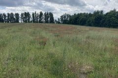 natur-genopretning1