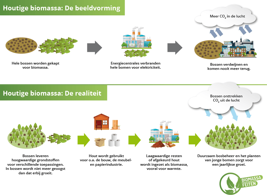 Houtige Biomassa: Beeldvorming Vs Realiteit - Biomassafeiten