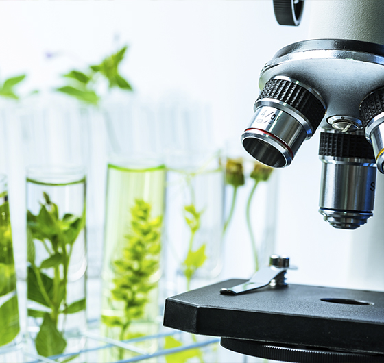 Biotechnology applied to Agriculture