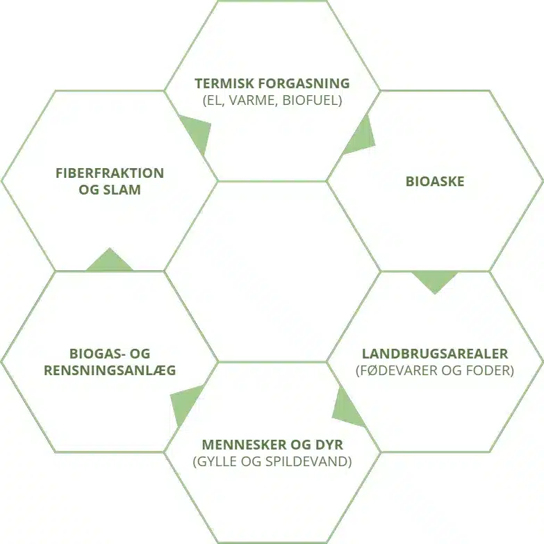 circular-process.drawio.png