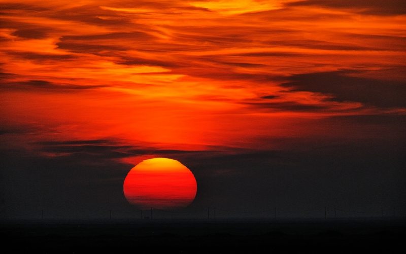 se iba el sol Birding Doñana, Jaime Blasco