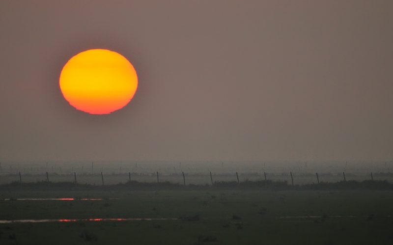 atardecer con niebla Birding Doñana, Jaime Blasco