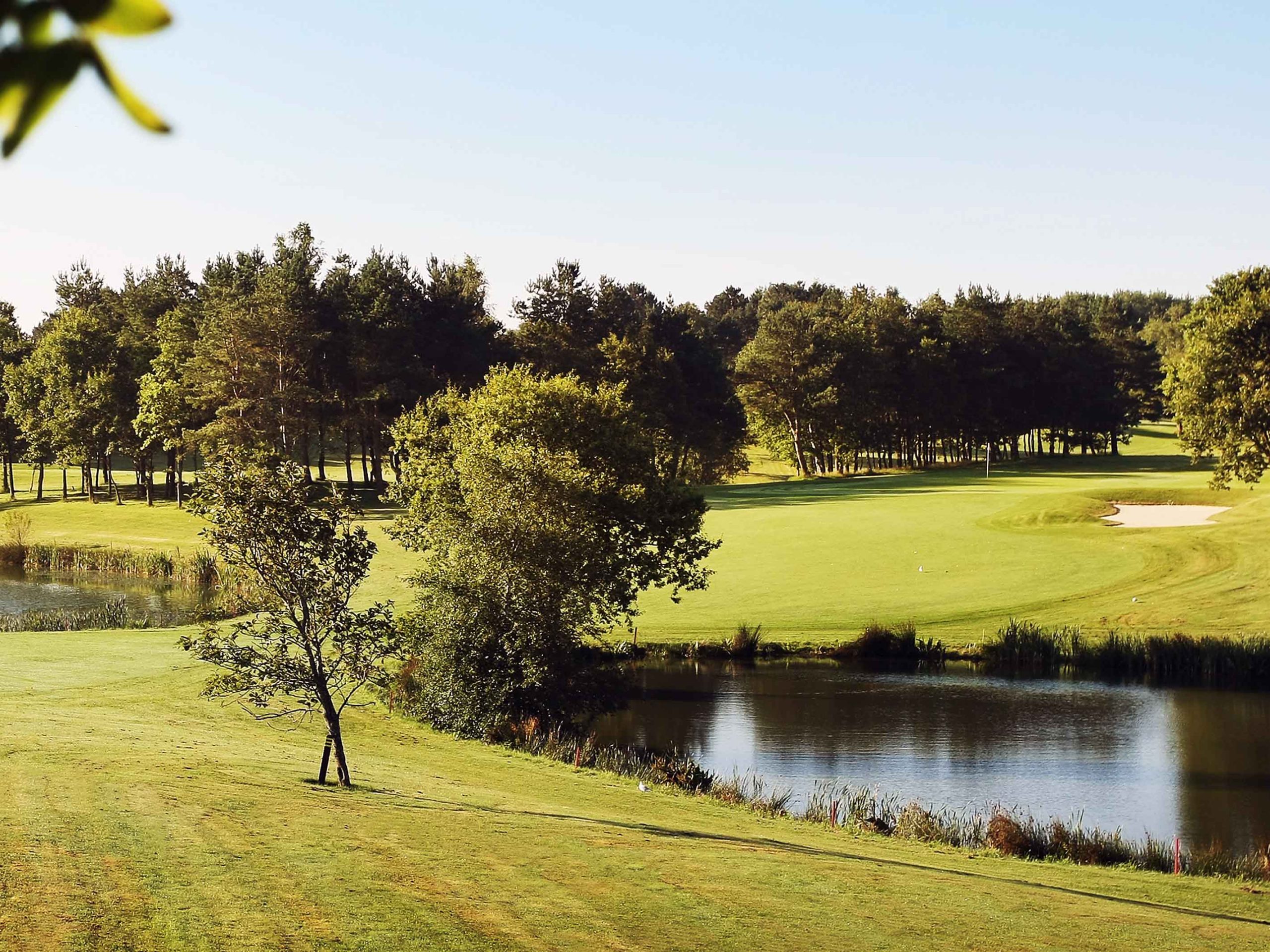 Golfklub Inspiration til dit golfspil Teknisk & mental