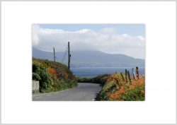 Ierland-28-1