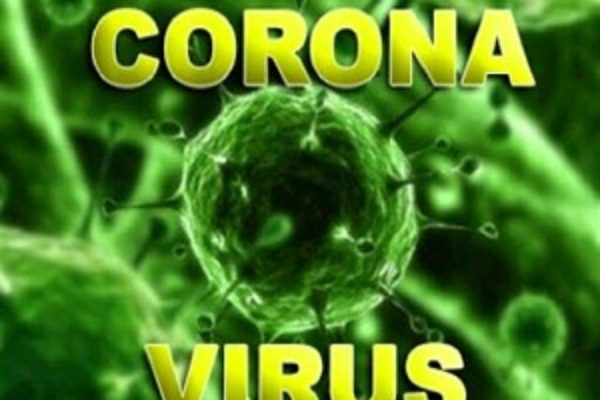 Krona virus