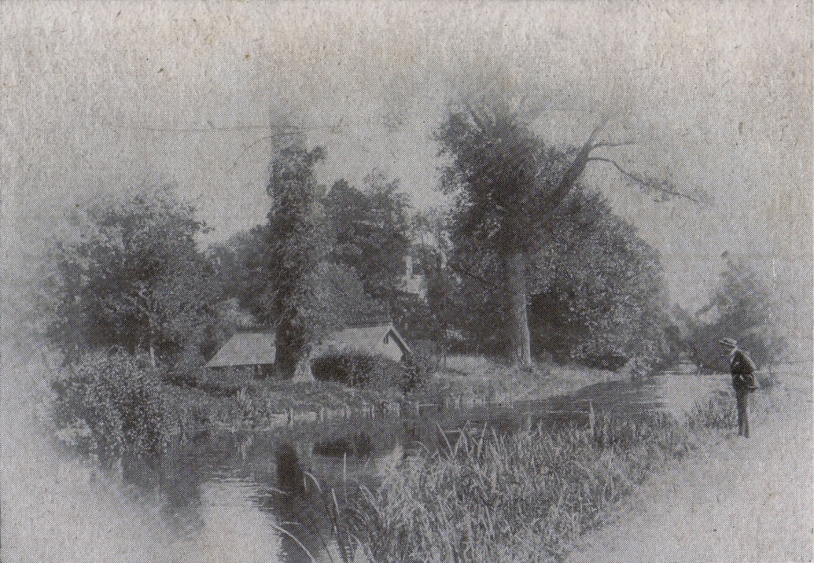 C:\Documents and Settings\Chris\My Documents\My Pictures\Bishopstoke History Society\River Itchen and Itchen Navigation (51)\River Itchen near the Mount b.jpg