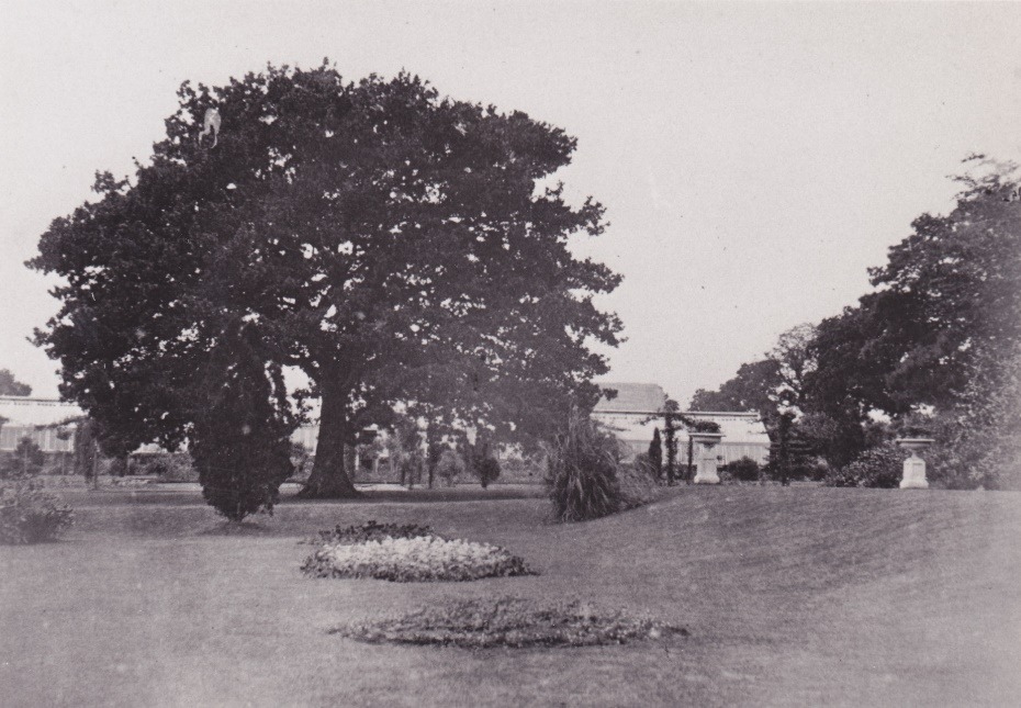 C:\Documents and Settings\Chris\My Documents\My Pictures\Bishopstoke History Society\The Mount (66)\The Mount 33.jpg