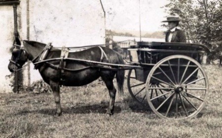C:\Users\Chris\Pictures\Bishopstoke History Society\Longmead House (33)\governess-cart.jpg
