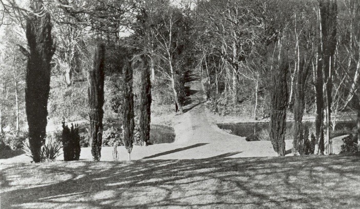 A black and white photo of a snowy road with trees on either side Description automatically generated with low confidence