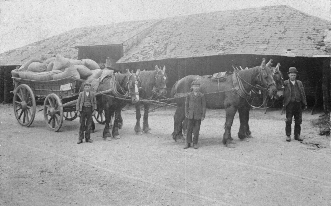 A group of men standing next to a horse drawn carriage Description automatically generated with low confidence