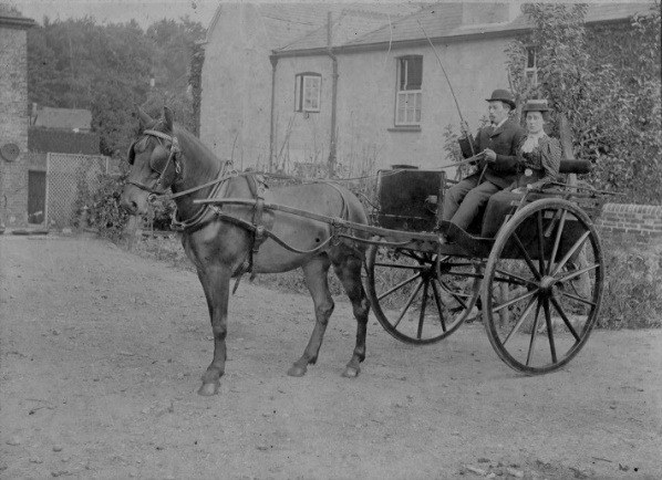 A horse pulling a carriage Description automatically generated with medium confidence