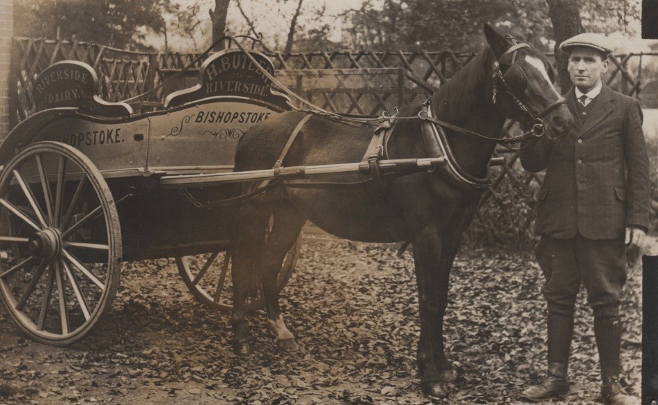 A horse pulling a cart AI-generated content may be incorrect.