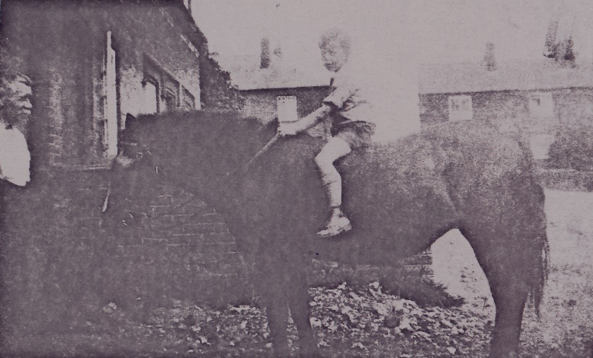 A person riding a horse Description automatically generated with low confidence