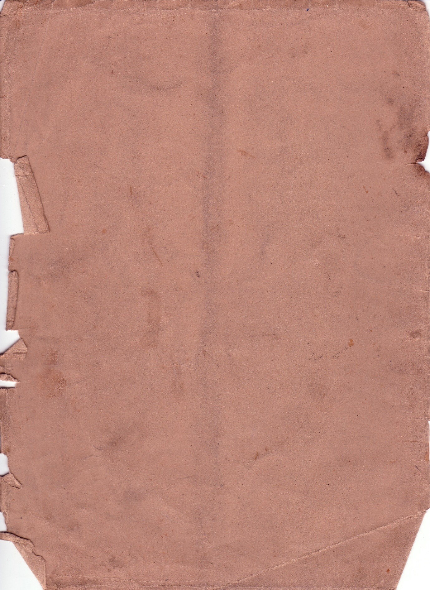 A picture containing ground Description automatically generated