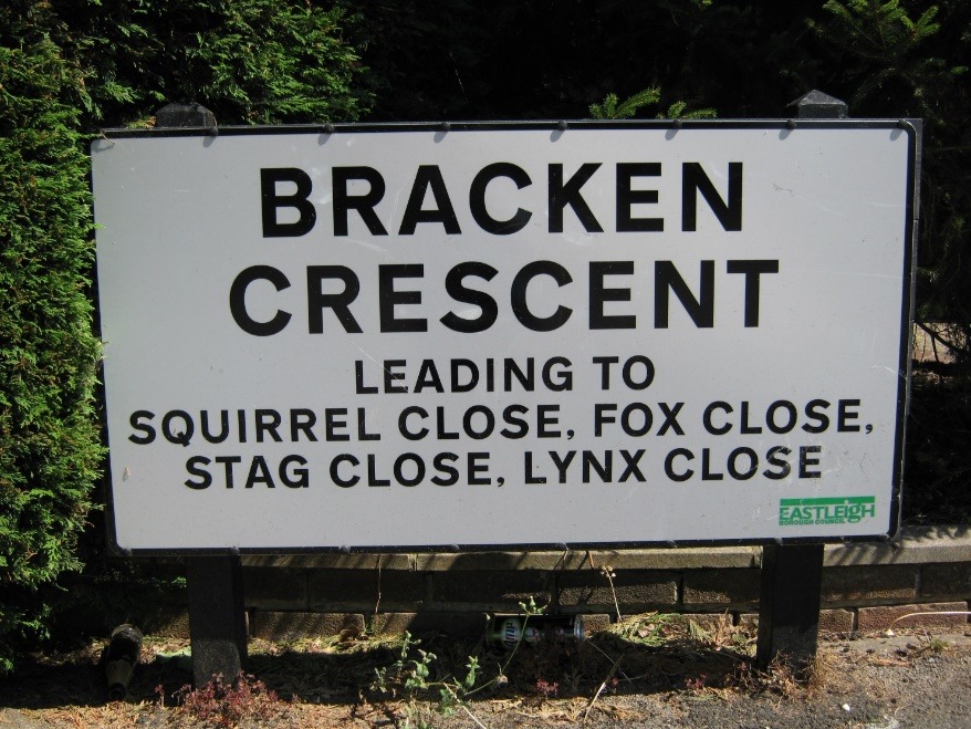 A picture containing text, tree, outdoor, sign Description automatically generated