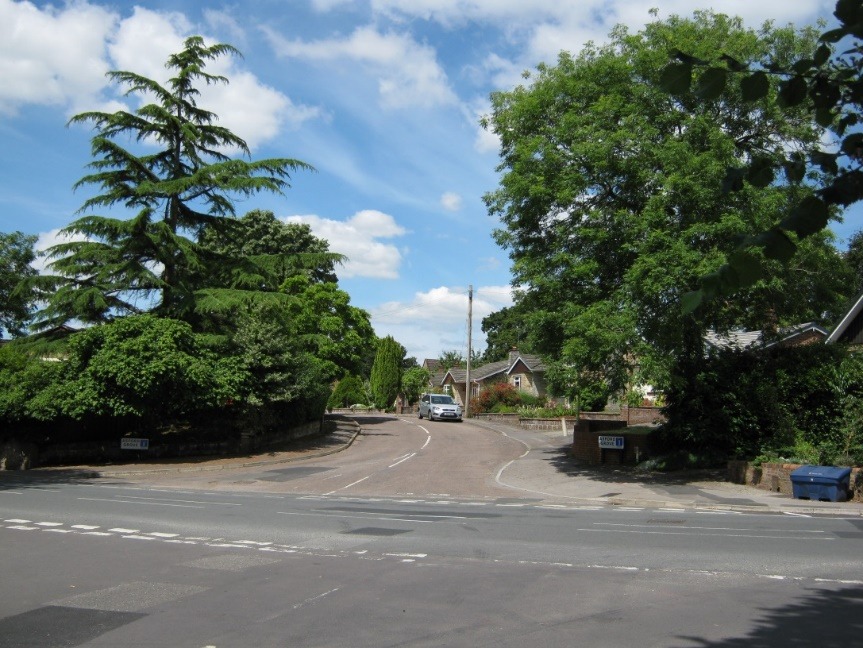 A picture containing tree, outdoor, sky, road Description automatically generated