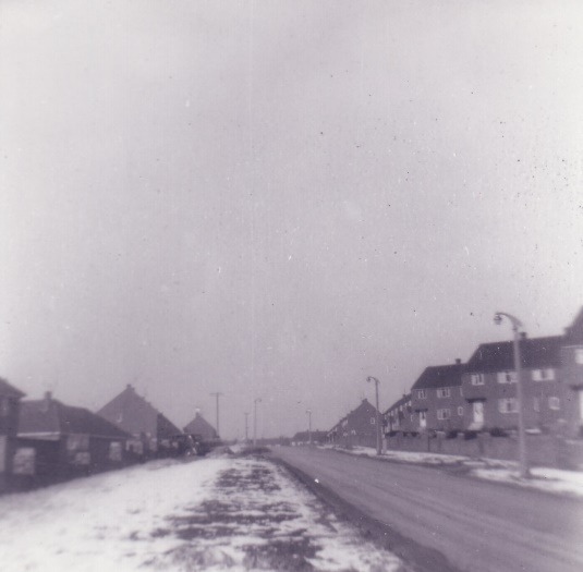 A road with snow on the side Description automatically generated with low confidence
