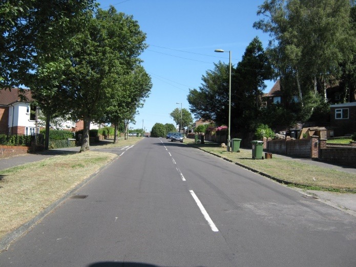 A road with trees on the side Description automatically generated with medium confidence