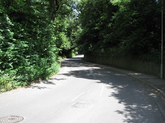 A road with trees on the side Description automatically generated with medium confidence