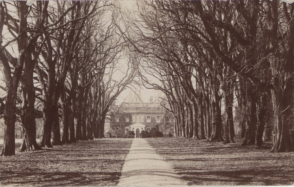 A road with trees on the side Description automatically generated with low confidence