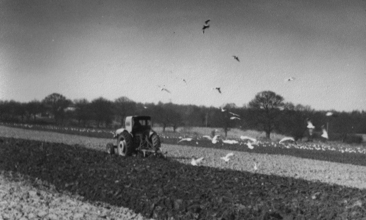 A tractor in a field Description automatically generated with medium confidence