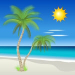 Palmetræ strandscene (sommer)