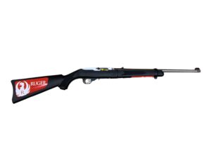 Ruger 10/22 Take-Down 22LR