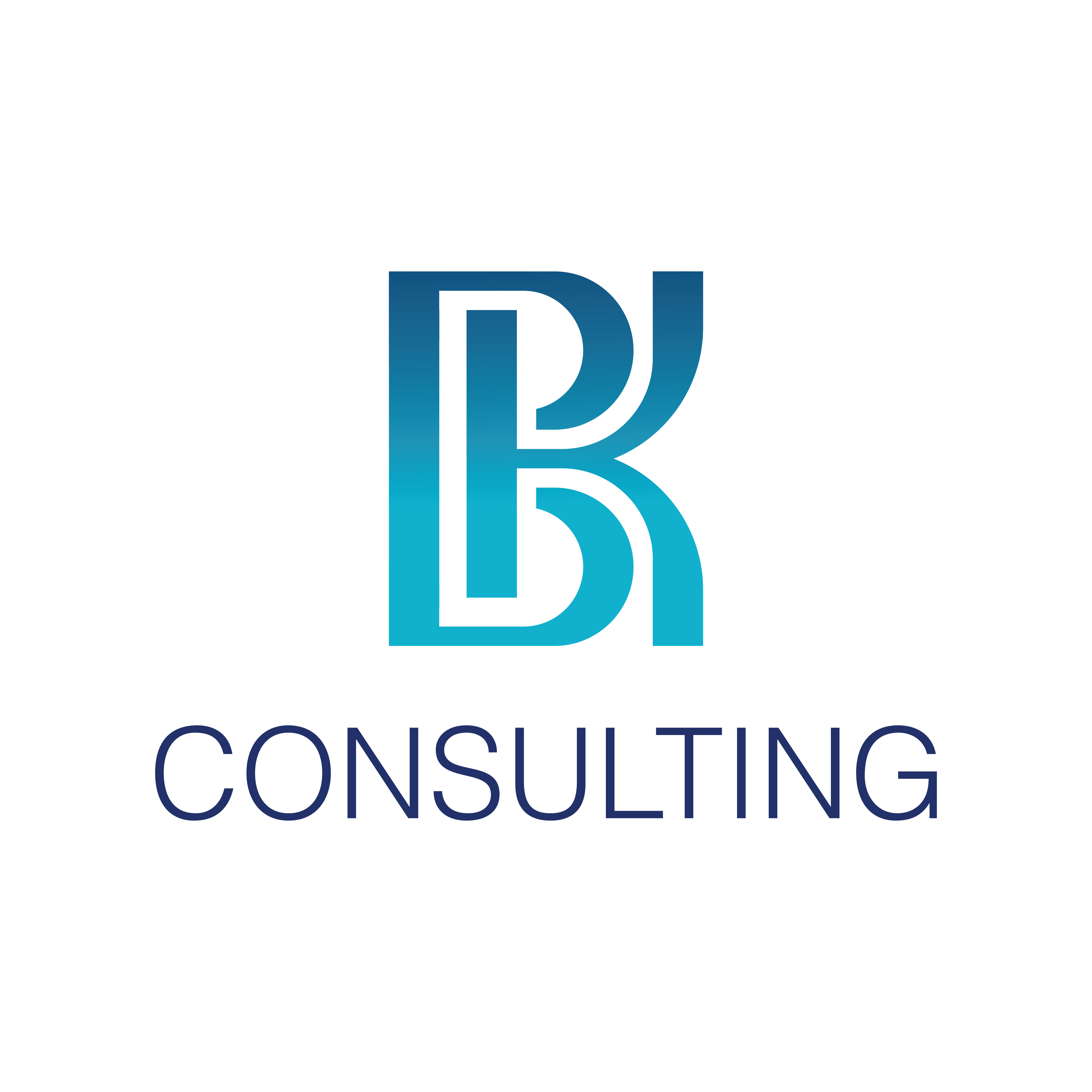 BK Consulting