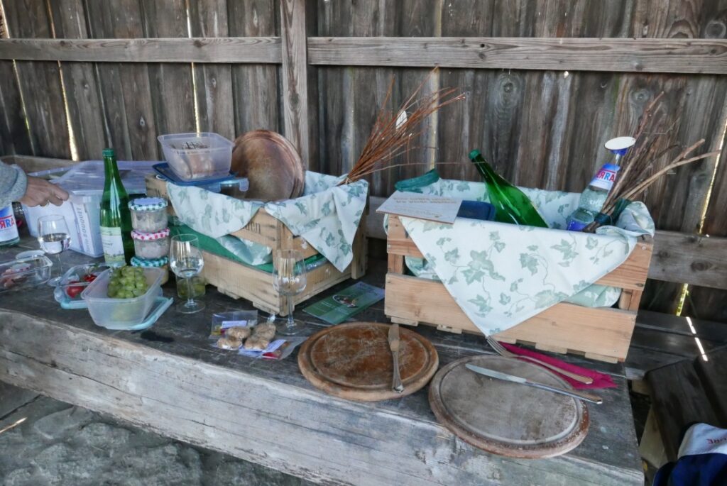 PicNic Service