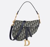 Dior Saddle