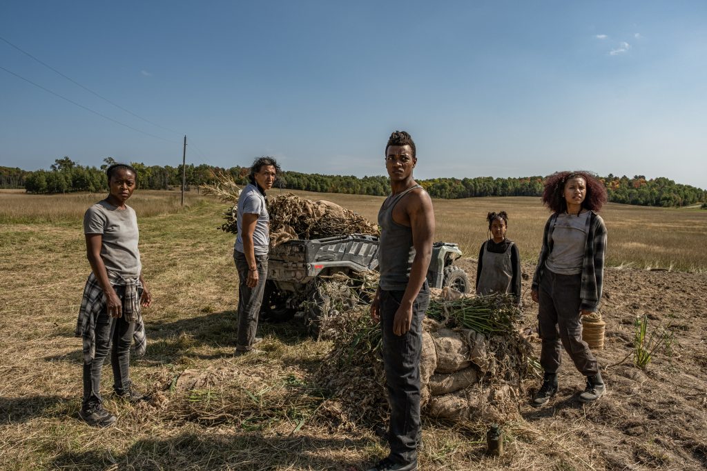 40 Acres Film Review