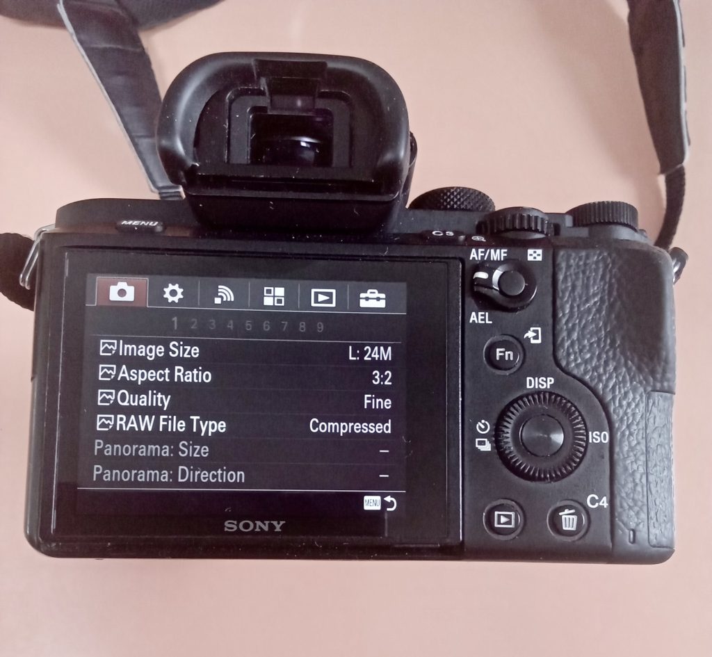Sony Camera