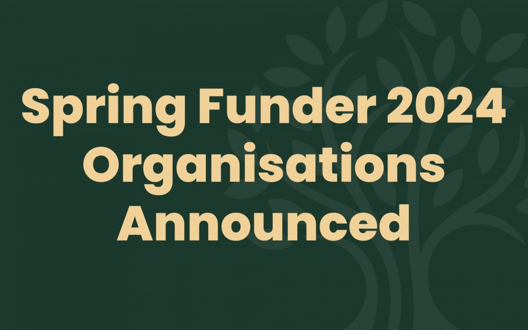 Black Funding Network Spring Funder Organisations Announced