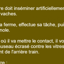 Un vétérinaire doit inséminer artificiellement des vaches