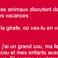 Des animaux discutent de leurs prochaines vacances