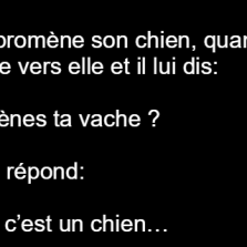 Une fille promène son chien