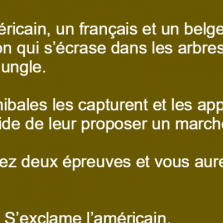 Un américain, un français et un belge dans un avion qui s&rsquo;écrase