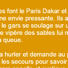 Deux types font le Paris Dakar