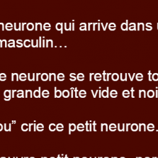 Savez-vous ou se cache les neurones des hommes