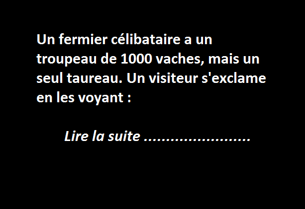Le fermier célibataire et son troupeau